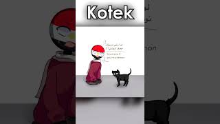 Kotek 🐈  komiks Countryhumans PL shorts memy śmieszne humor [upl. by Lyndon]