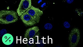 How Coronavirus Hijacks Your Cells [upl. by Ahsia]