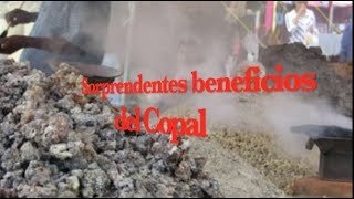 Sorprendentes beneficios del copal [upl. by Thesda]