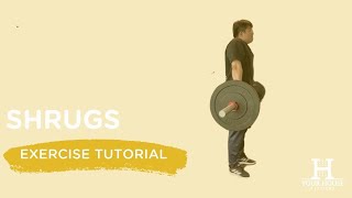 Dumbbell vs Barbell Shrugs How to Learn Both [upl. by Naillig252]