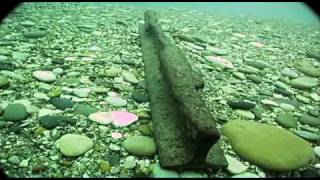 St Clair River Dive [upl. by Barbra9]