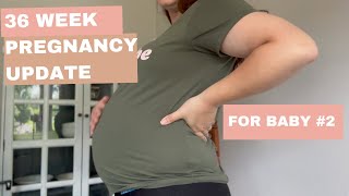 36 Week Pregnancy Update  2nd Pregnancy  TMI Symptoms [upl. by Ferdinande723]