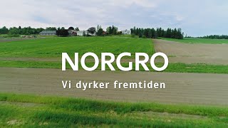 Norgro  Reddik [upl. by Goerke]