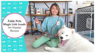 Fable Pets Magic Link Leash An Honest Review  Trying Out Handsfree Leash on Samoyed [upl. by Aldarcy]