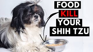 21 Human Foods That Can Be Toxic For Your Shih Tzu [upl. by Ilrahc]