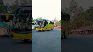 BUS TIVIDI Line JOGJA ‼️ Angkatan Sore Poris trendingshorts shortvideo [upl. by Toft]