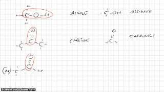 Chimica Organica  Gruppi funzionali parte 1 [upl. by Yttig]