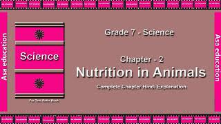 Ch 2 Nutrition in Animals Science Grade 7 CBSE The LandMark  Hindi Explanation Series [upl. by Madda]