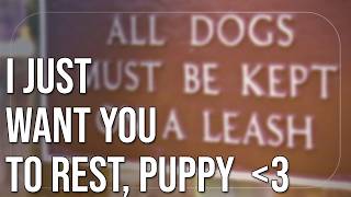 ASMR sweet dumb puppy time for you [upl. by Iclek]