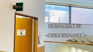 臨床検査技師のお仕事 [upl. by Ajax]