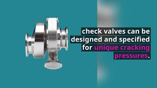 Check Valves amp Steam Applications [upl. by Laurinda]