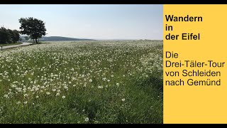 Eifel  Die DreiTälerTour von Schleiden nach Gemünd [upl. by Berstine]