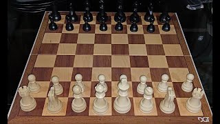 DGT Starter Chess Set Unboxing  short review [upl. by Shere906]