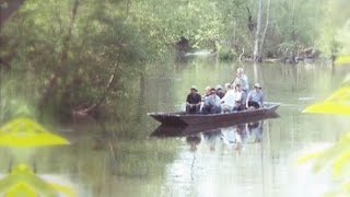 Bootssafari auf dem Rhein [upl. by Myrah]