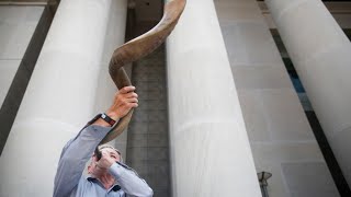 The Shofar Horn of Plenty [upl. by Siramay927]