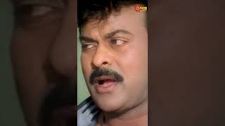 🤣🤣🤣  Shankar Dada MBBS  Chiranjeevi  Telugu Comedy Scene [upl. by Utica993]