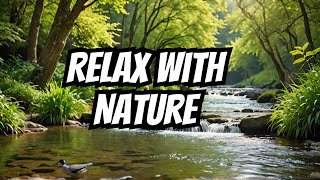 Peaceful Melodies Music Water Birds relax meditation [upl. by Gentry431]