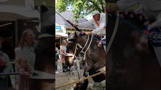 🐎 Ringrijden Meliskerke🇳🇱 Netherlands TravelwithHugoF ringrijden meliskerke netherlands [upl. by Abba]