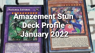 Amazement Stun Deck Profile January 2022 [upl. by Garzon]