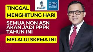 TINGGAL MENGHITUNG HARI SEMUA NON ASN AKAN JADI PPPK TAHUN INI DENGAN SKEMA INI [upl. by Ekusuy]