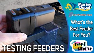 Whats the Best Auto Fish Feeder for You [upl. by Kunin]