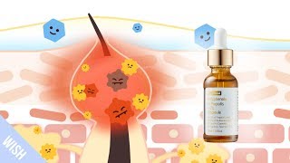 プロポリスアンプルの効果とは？  BY WISHTREND Polyphenol in Propolis 15 Ampoule [upl. by Akyssej]