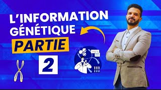 Unité 2 Génétique information génétique 🧬 Partie 2 [upl. by Llennod]