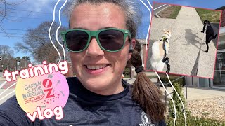 GARMIN MARATHON TRAINING VLOG 🌪️✨ Dog jog tips NYC Marathon lottery results and postGarmin plans [upl. by Cordey]