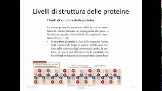 7Macromolecole Biologiche Carboidrati amp Proteine [upl. by Kenison]