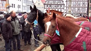 324 Leonberger Pferdemarkt  ausführlicher Bericht  10022015 [upl. by Stortz]