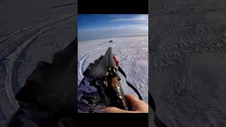 This Wolf Survived My Best Shot 😱 foxhunting hunting охота волк обезьяны падение [upl. by Sibby]