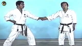 SHOTOKAN karate  The Nakayama  Hangetsu Kata and Bunkai Ката Хангетсу [upl. by Htedirem]