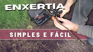 Como FAZER uma ENXERTIA muito simples e fácil [upl. by Auqinal]