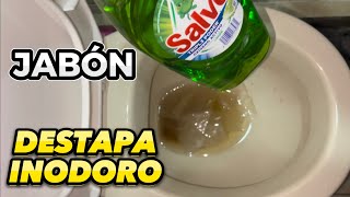 SABIAS QUE 😳Con jabon puedes DESTAPAR el INODORO Rapido  Como DESTAPAR el baño SIN destapacaños [upl. by Carew]