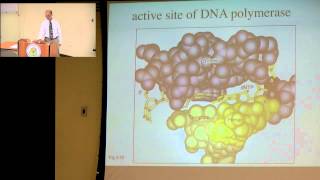 DNA Damage and Repair Pathways [upl. by Nellak883]