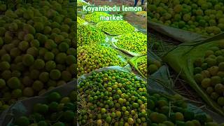 Koyambedu lemon market Chennai trending shorts viralvideo 🍋🍋🍋 [upl. by Rakel]