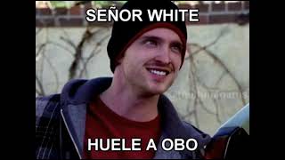 Todos los memes de Breaking Bad QUESO  OBO  PERMATRAGO  UXIONO  CROTOLAMO [upl. by Anwahsat]