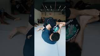 bjj jiujitsu jiu grappling nogi mma ufc jiujitsufighter oss bjjmotivation [upl. by Jovi]