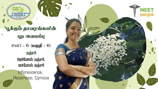 Morphology of Flowering plants  Part 6  Inflorescence  Racemose  Cymose  NEET Tamil  Biology [upl. by Nede364]