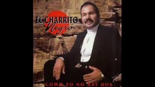 EL CHARRITO NEGRO amores con dueño [upl. by Arriat]