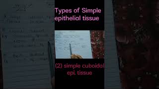 Animal Tissue  Topice simple cuboidal epithelial tissue [upl. by Lashondra]