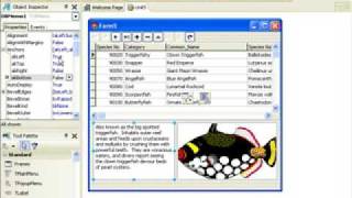 Delphi Programming Tutorial 24  DBGrid OnDrawColumnCell [upl. by Aleahpar]