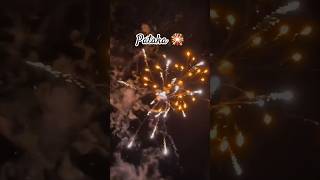 Pataki 🎇Dipawali 2024 😍 crakers dipavali fastival shorts viralvideo shortsfeed vcshashank [upl. by Ylil]