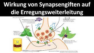 Wirkweise von Synapsengiften  Nervengiften auf die Erregungsweiterleitung Neurobiologie 55 [upl. by Wills]