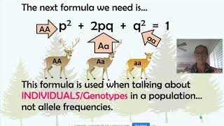 Introduction to HardyWeinberg Equilibrium AP Biology Topic 75 [upl. by Leander944]