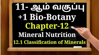 11th Std BioBotany Chapter12 Minerals Nutrition Classification of Minerals Functions 11th Std [upl. by Asiruam]