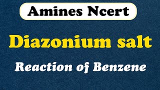 Reaction of Benzene class 12 [upl. by Evanne]