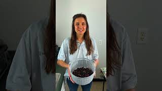 How to Brine Arbequina Olives at Home  MyPerfectPlantscom [upl. by Cresa]