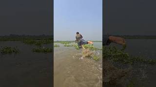 Amazing Rural Polo Fishing video✅polo fishingvillageboy fishingmethods fishingtipsandtechniques [upl. by Yllut862]