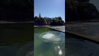 Kiama Ocean Pool NSW Australia nsw australia [upl. by Eberhard]